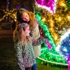 Garden of Lights Fénykert Budapesten a Fűvészkertben! Jegyek itt!